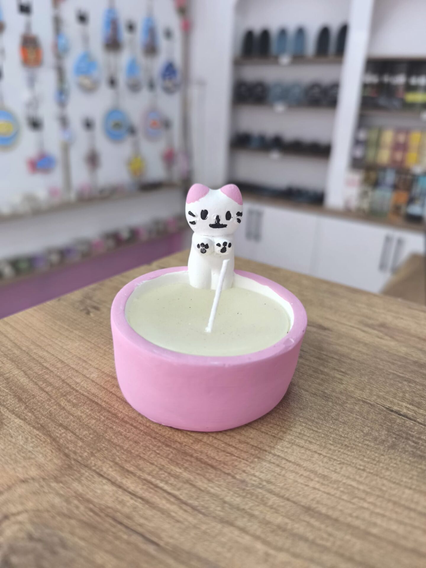 ÜŞÜYEN KEDİ