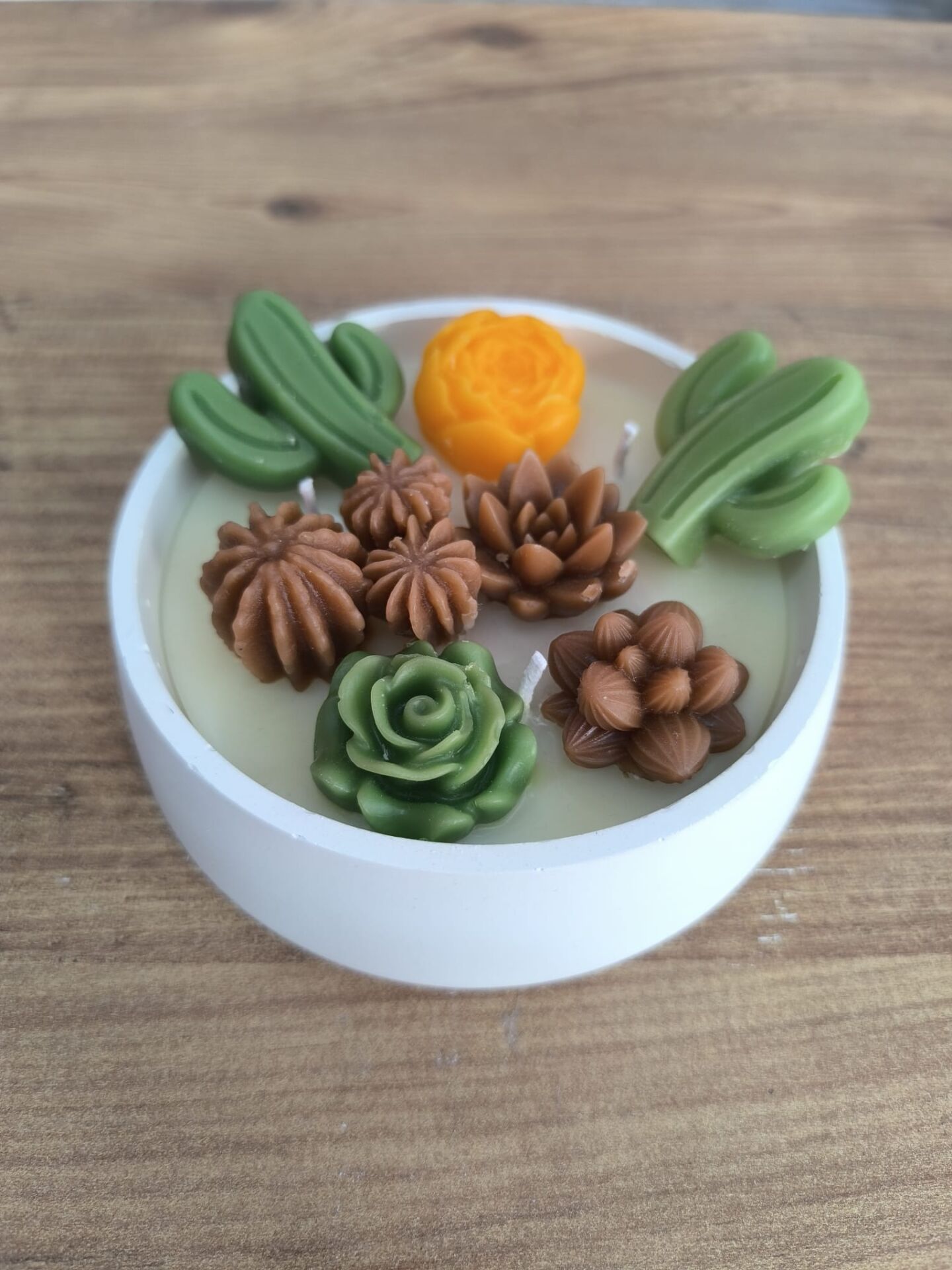 RENKLİ SUKULENT KASE