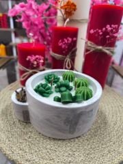 KİBRİTLİ MUMLUK KAKTÜS