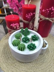 KİBRİTLİ MUMLUK KAKTÜS